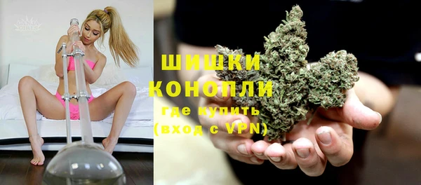 apvp Богородицк
