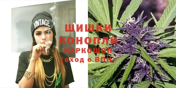 apvp Богородицк
