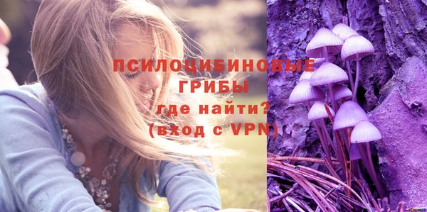 амф Богданович