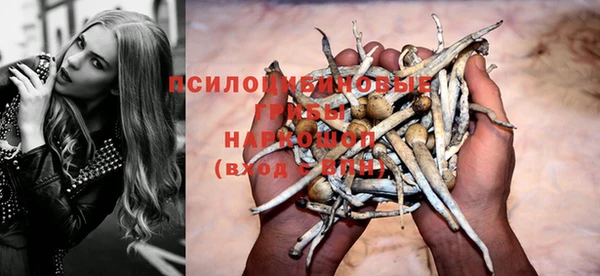 амф Богданович