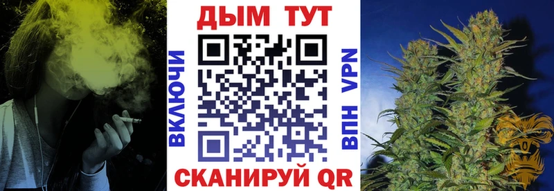 Канабис AK-47  Купить где  Дальнереченск 